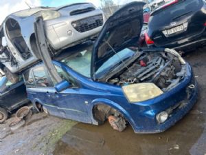 Nissan Lafesta B30 2004-2011