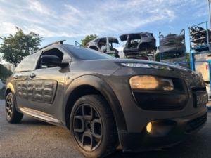 Citroen C4 Catcus 2014-2017