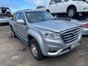 Great Wall Motors X-Series X240