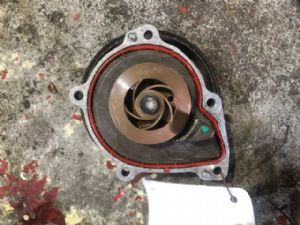 Peugeot 207 207 2006-2011 Water Pump