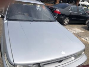 Nissan Pintara U12 11/89-10/92 Bonnet