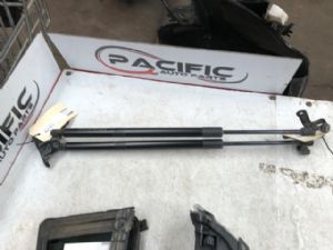 Toyota RAV4 MXAA52 Tailgate Struts (Set)