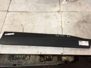 Toyota RAV4 MXAA52 RF Door Moulding