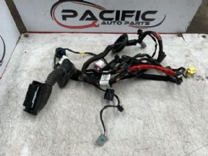 Hyundai Santa Fe TM HS281 LF Door Wiring loom
