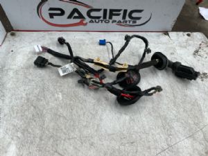 Hyundai Santa Fe TM HS281 LR Door Wiring Loom